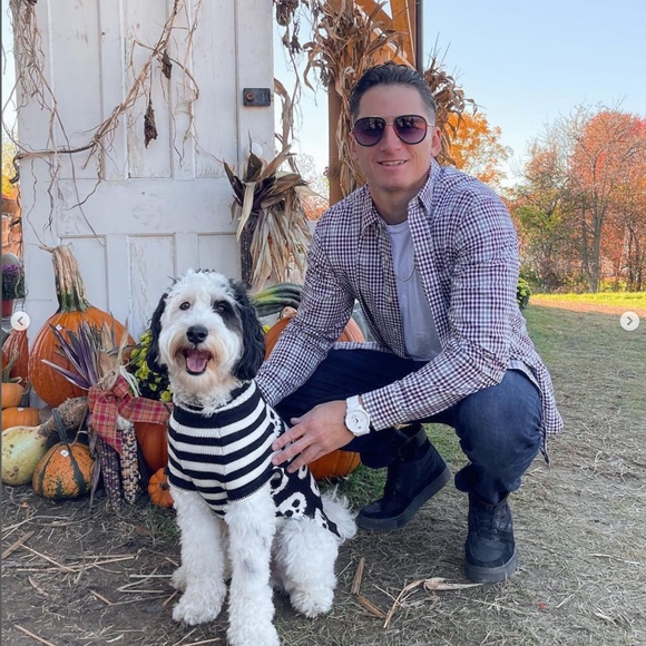 ❌Halloween Skull Dog Sweater - Picture 2 of 9